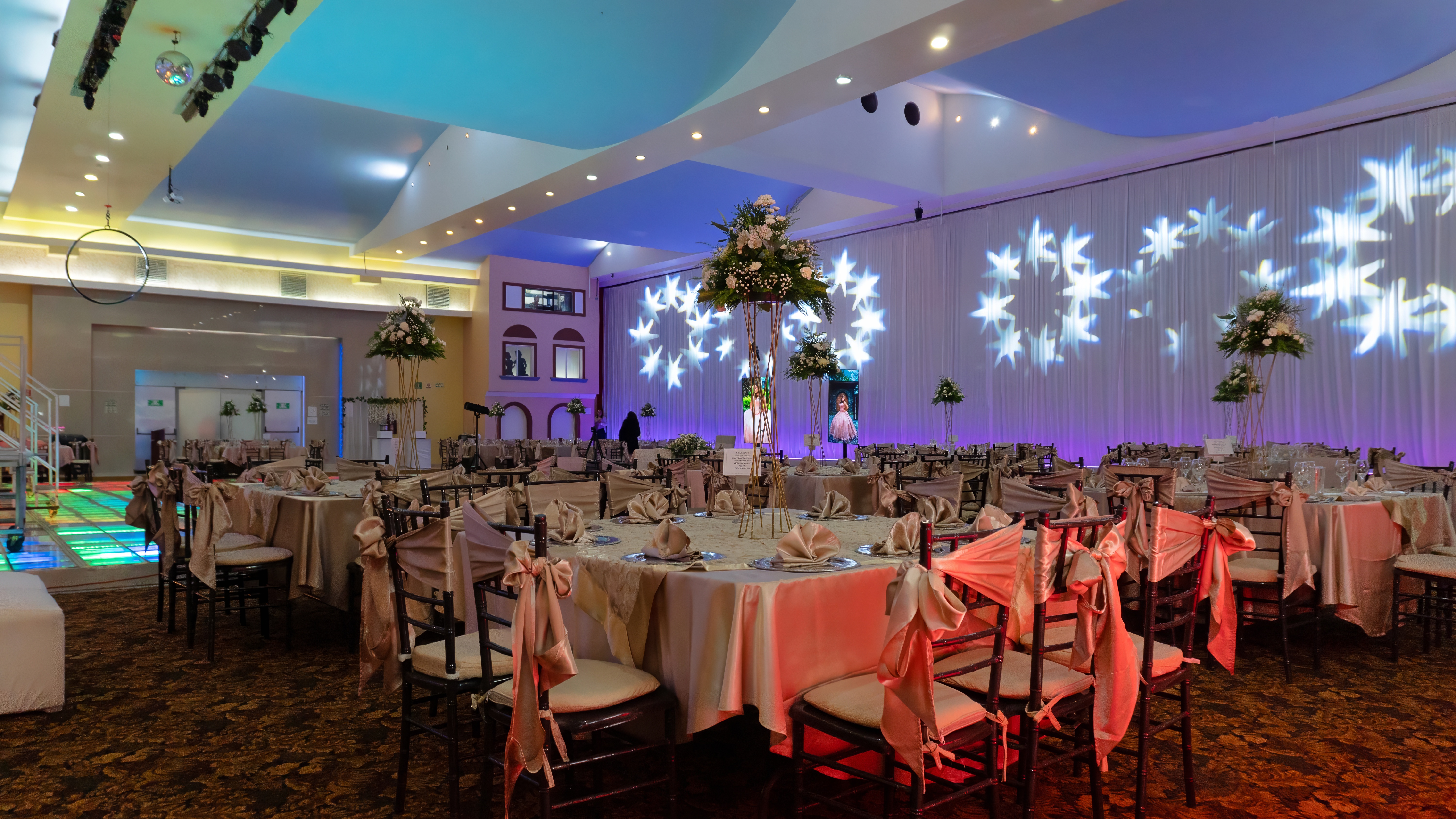 Terra salon background